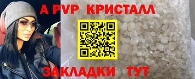 прущие грибы Бердск